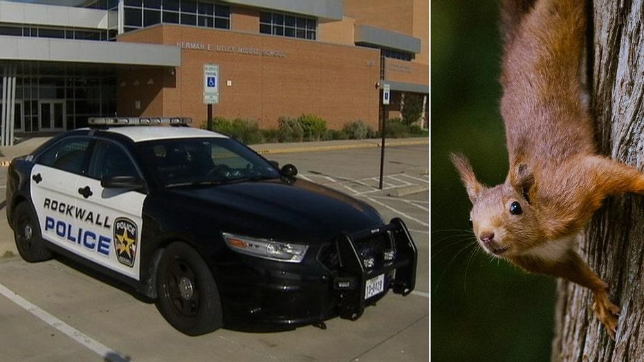 Squirrel Shooter in Rockwall Triggers Lockdown at Elementary School
