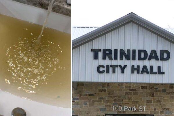Trinidad City Council Dismisses Municipal Judge Who Dismissed Charges Against Police Protester