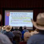 Tracking Screwworm Cases in Texas: Current Locations and Updates