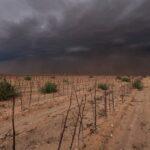 Texas Drought Outlook: Rio Grande Valley Farmers Prepare for Severe Impacts