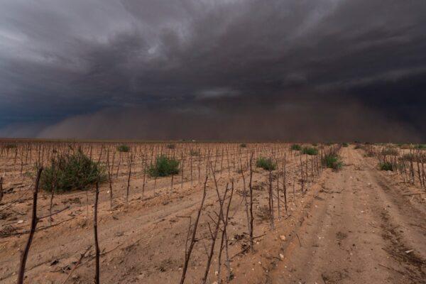 Texas Drought Outlook: Rio Grande Valley Farmers Prepare for Severe Impacts