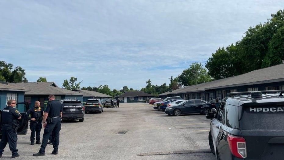 Fatal Shooting in Kashmere Gardens: Woman Dies, Suspect Apprehended