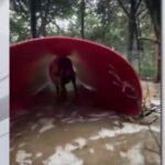 Leander Nonprofit Takes Action to Address Flooding and Cleanup After Heavy Rainfall
