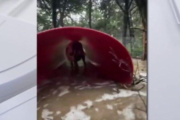 Leander Nonprofit Takes Action to Address Flooding and Cleanup After Heavy Rainfall