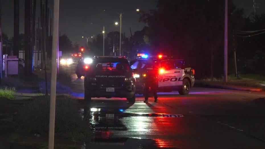 Tragic Hit and Run: Wheelchair Bound Pedestrian Fatally Struck in Sunnyside