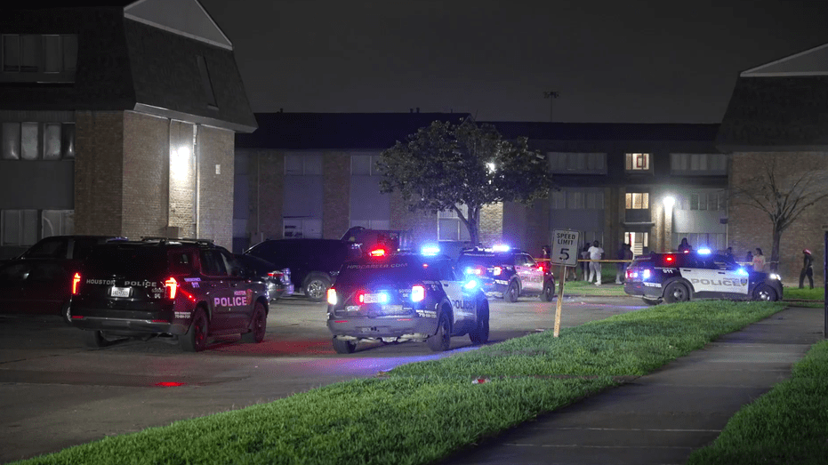 Texas Woman Faces Murder Charges in Fatal Stabbing at Southeast Houston Apartment