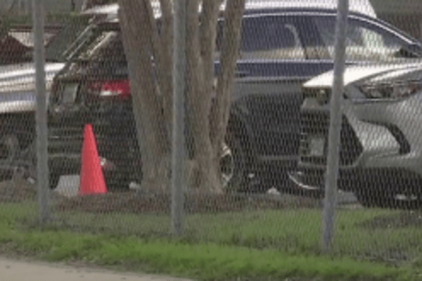 "Essential Tips for Houston World Cup Fans: Navigate Rising Parking Costs and New Security Measures"