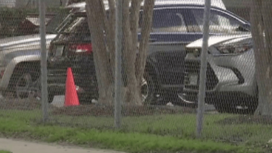 "Essential Tips for Houston World Cup Fans: Navigate Rising Parking Costs and New Security Measures"