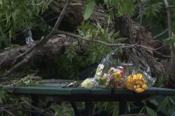 Lawsuit Launched Following Fatal Tree Incident at Austin BBQ Restaurant