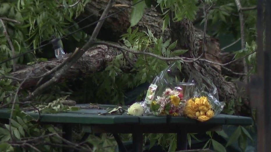 Lawsuit Launched Following Fatal Tree Incident at Austin BBQ Restaurant