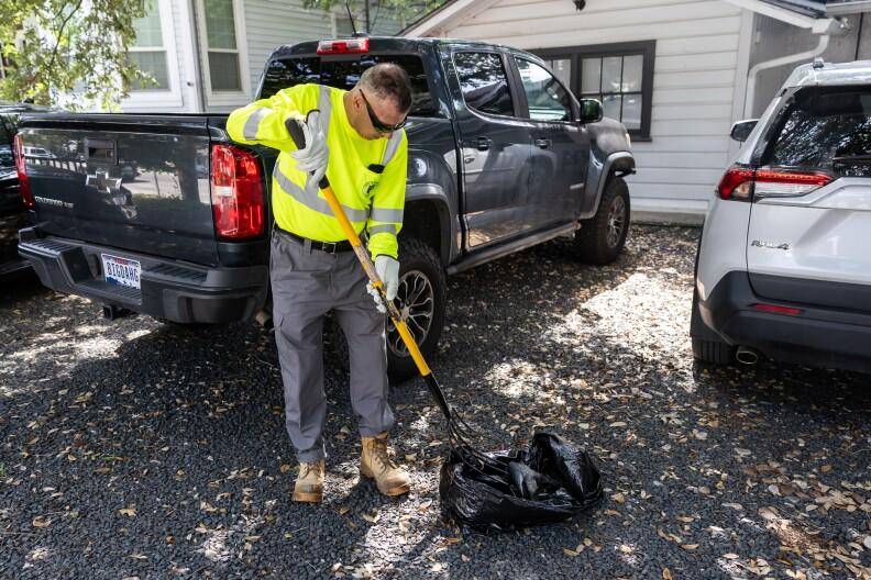 What Happens to Roadkill in Austin: The Journey of Dead Animals Collected by the City