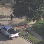 Tragic Shooting Incident Claims Lives of Mother and Son in Southeast Harris County