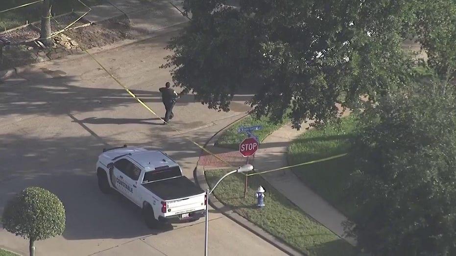 Tragic Shooting Incident Claims Lives of Mother and Son in Southeast Harris County