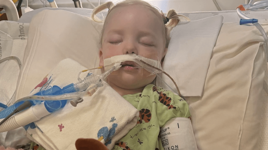 texas-ag-confirms-louisiana-hospital-ready-to-accept-annelise-camp