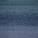 Authorities Investigate Body Discovered in Lake Pflugerville
