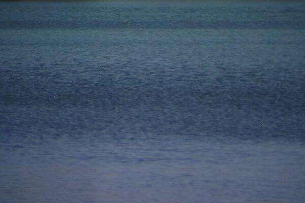 Authorities Investigate Body Discovered in Lake Pflugerville