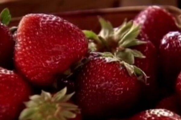 Houston Physician Sounds Alarm on Seasonal Surge of Parasites Linked to Favorite Summer Raw Foods