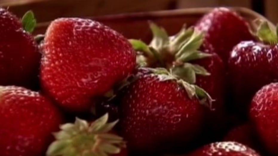 Houston Physician Sounds Alarm on Seasonal Surge of Parasites Linked to Favorite Summer Raw Foods