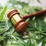 New THC Ban Takes Effect Today: What You Need to Know