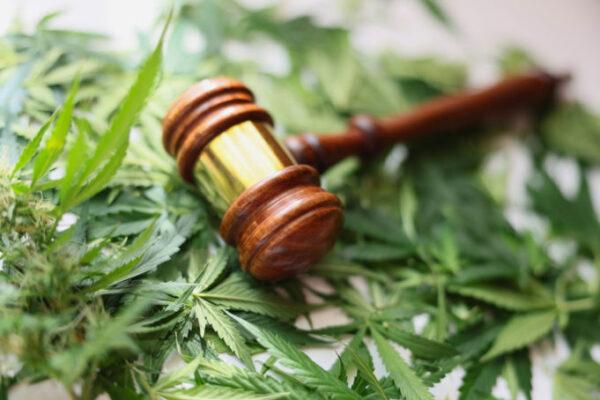 New THC Ban Takes Effect Today: What You Need to Know