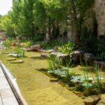San Antonio's Alamo Unveils Newly Restored Paseo del Alamo Walkway