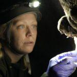 Austin Welcomes Groundbreaking Documentary on Battle Against Bat Killing Plague