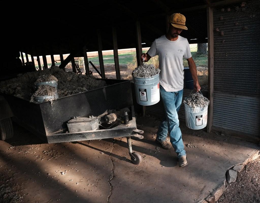 Texas Agriculture Faces New Threat from Data Centers After Years of Struggles