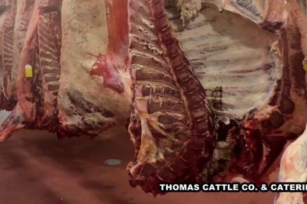 Texas Rancher's Sales Surge Threefold Following Trump's Beef Import Policy Announcement