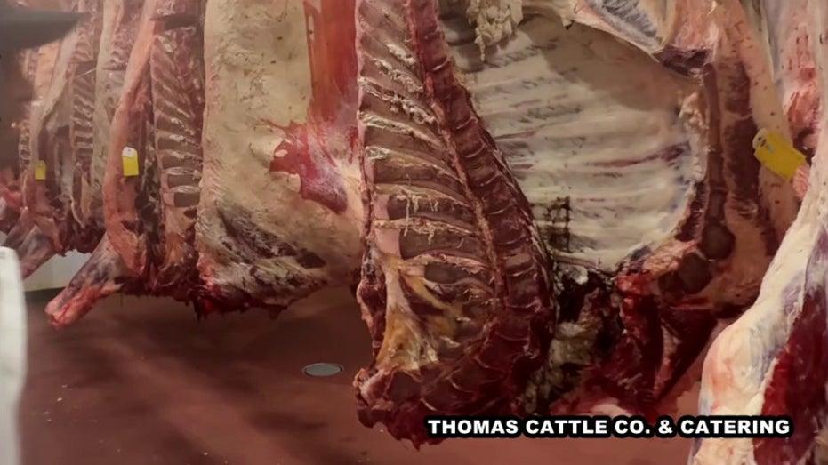 Texas Rancher's Sales Surge Threefold Following Trump's Beef Import Policy Announcement