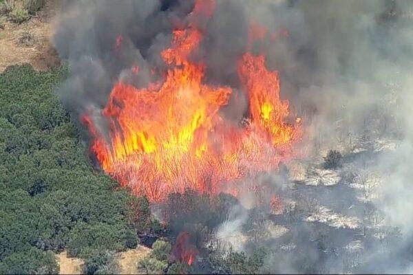 Grass Fire in Palo Pinto County Closes Highway 180: Latest Updates
