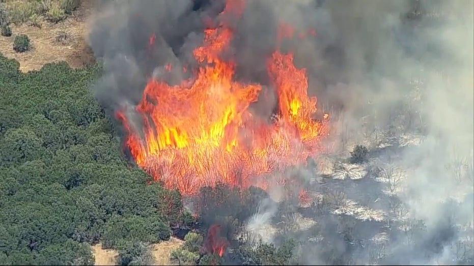 Grass Fire in Palo Pinto County Closes Highway 180: Latest Updates