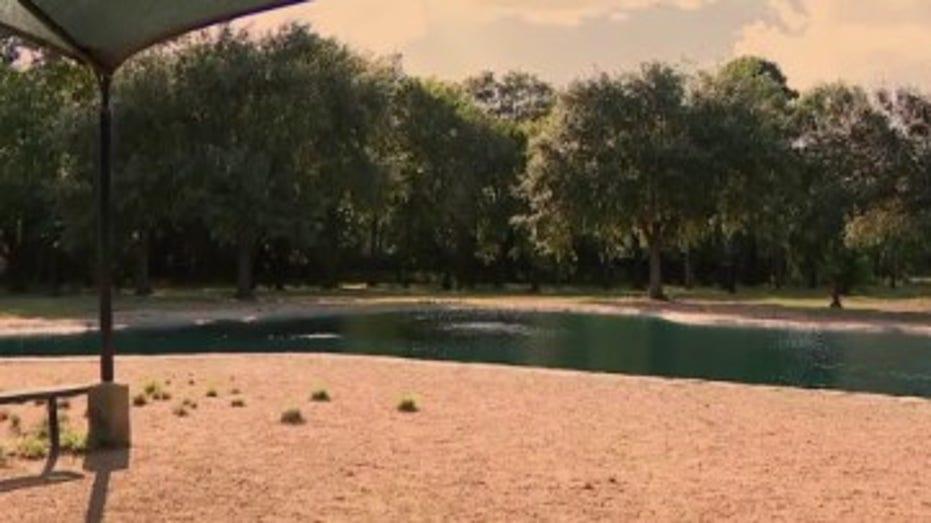 Couple in Harris County Urges Pet Owners to Beware of Deadly Parasite in Dog Parks Affecting Dogs