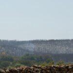 North Texas Wildfire Contained: Update on Ongoing Blaze After Three Weeks
