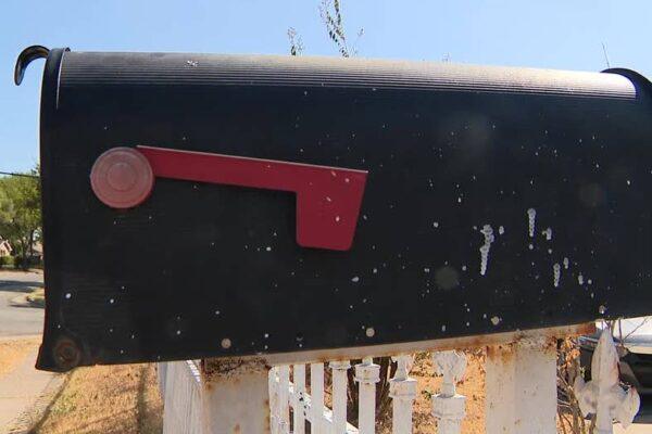 Viral Video of Missing Mail Triggers Federal Investigation