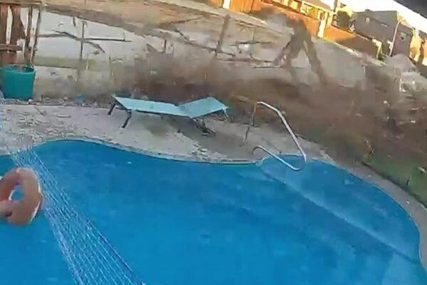 Watch: Fort Worth Driver's Close Call with Kids in Backyard