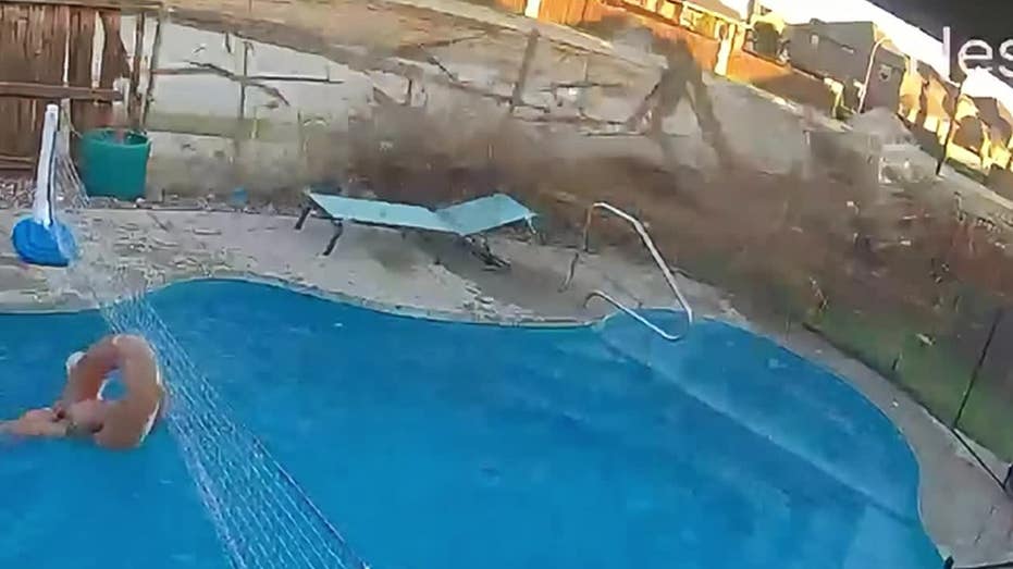 Watch: Fort Worth Driver's Close Call with Kids in Backyard