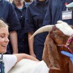 Transform Your Community: The Impact of a Career in Veterinary Medicine