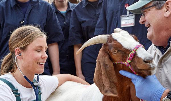 Transform Your Community: The Impact of a Career in Veterinary Medicine