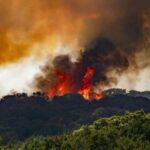 Texas Wildfires: Firefighters Fight Ongoing Blaze Across the State