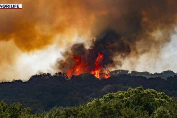 Texas Wildfires: Firefighters Fight Ongoing Blaze Across the State