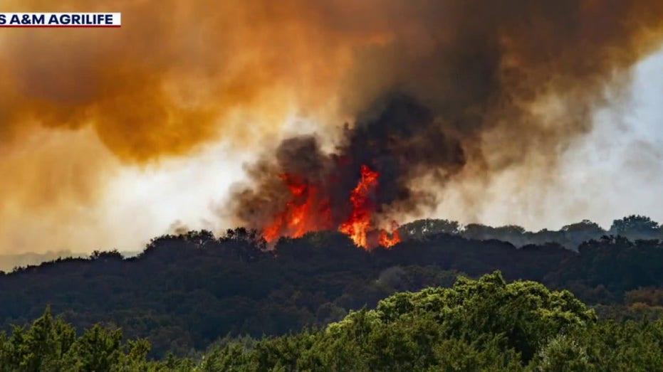 Texas Wildfires: Firefighters Fight Ongoing Blaze Across the State