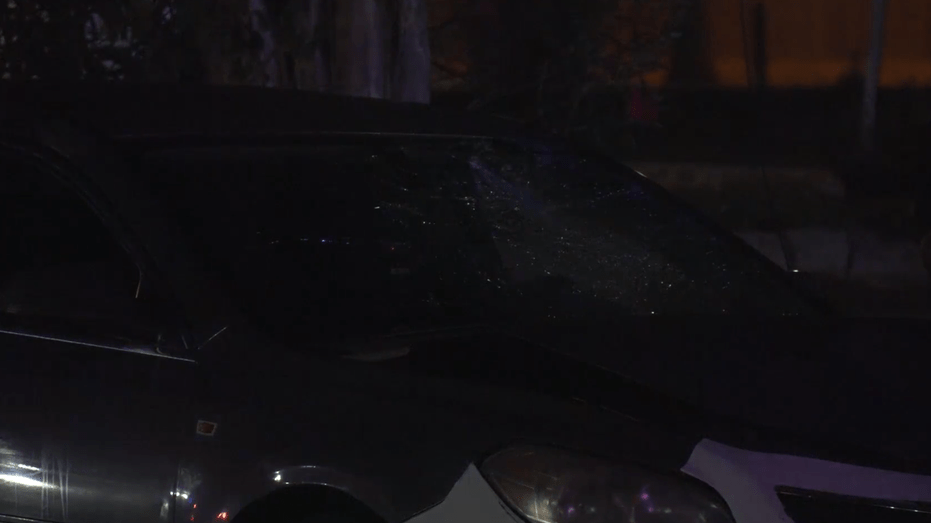 Driver Arrested After Fatal Pedestrian Accident in Sunnyside