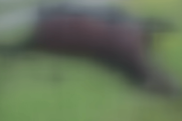 Decaying Horse Discovered Outside Harris Health System Facility: Shocking Scene Unfolds