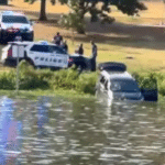 Driver Plunges Car into Lake Bachman in Dallas: Shocking Incident Unfolds