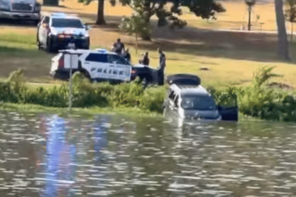Driver Plunges Car into Lake Bachman in Dallas: Shocking Incident Unfolds