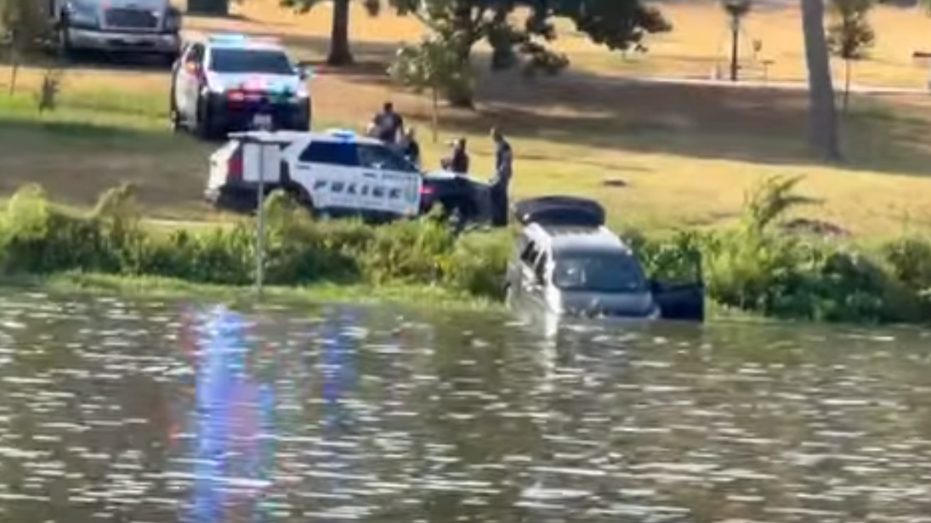 Driver Plunges Car into Lake Bachman in Dallas: Shocking Incident Unfolds