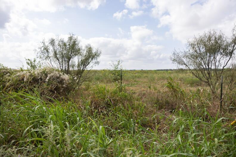 Environmental Groups and Residents File Lawsuit Against Austin Over Dog's Head Development Agreement