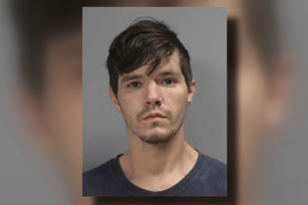 Texas Man Receives 10 Year Prison Sentence After 130 Dogs Found Dead at Animal Rescue Facility