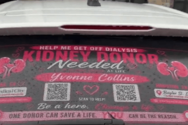 Conroe Woman's Creative Kidney Donation Quest Captures Attention
