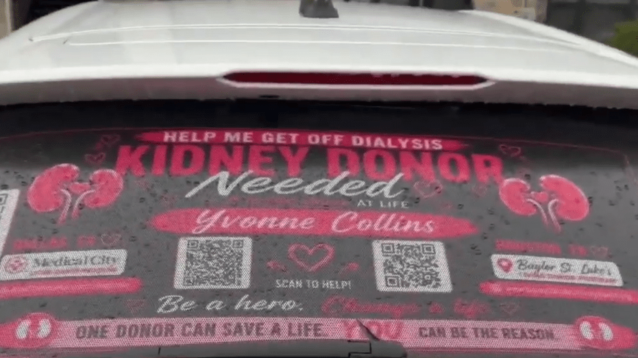 Conroe Woman's Creative Kidney Donation Quest Captures Attention